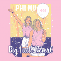 Big Little Reveal - Design